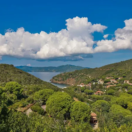 Dhamma - Goelba Palazzo (Livorno)