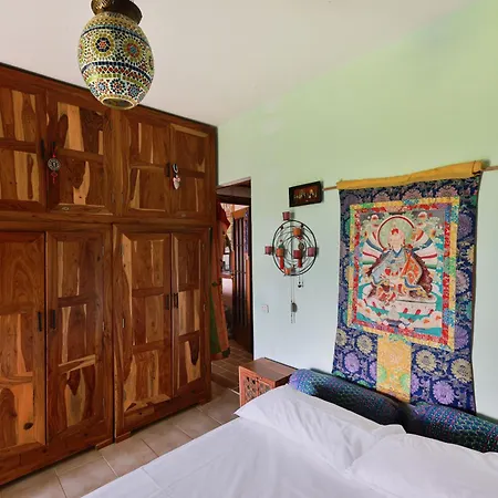 Dhamma - Goelba Apartment Palazzo (Livorno)