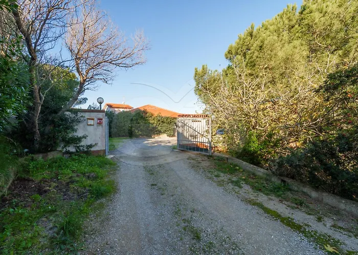 Appartement Dhamma - Goelba Palazzo (Livorno)