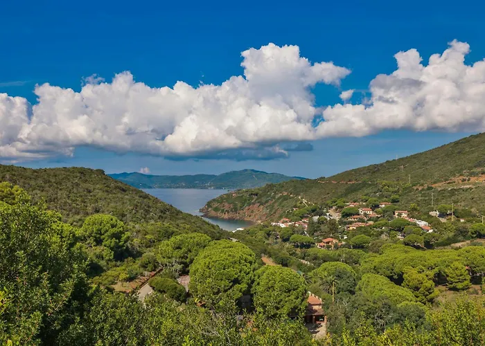 Dhamma - Goelba Palazzo (Livorno)