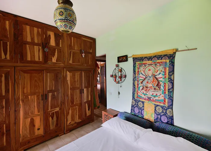 Dhamma - Goelba Appartement Palazzo (Livorno)